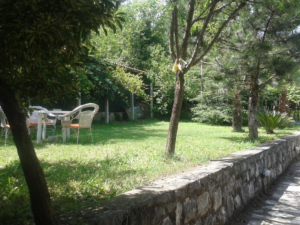 Apartment Sasha Kotor Bagian luar foto