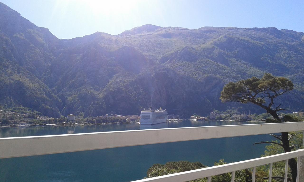 Apartment Sasha Kotor Bagian luar foto