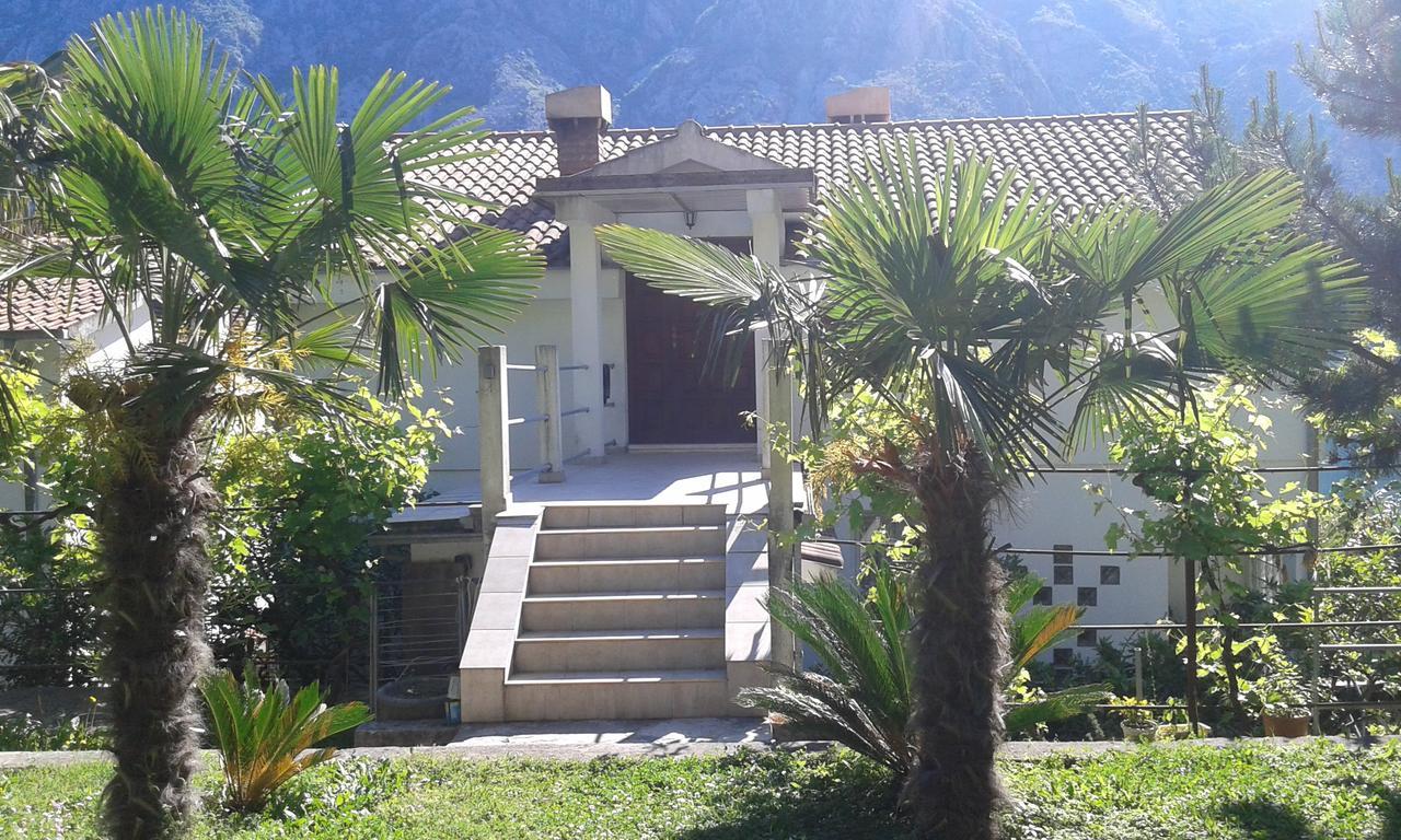 Apartment Sasha Kotor Bagian luar foto